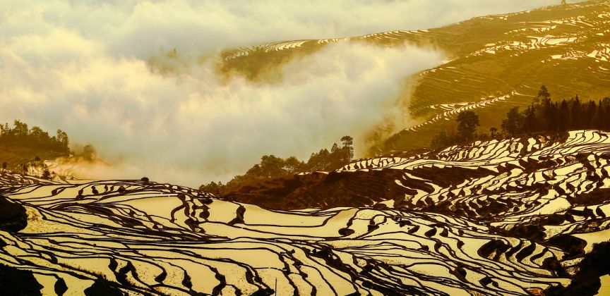 今年，去雲南過冬吧！ 旅遊 第5張