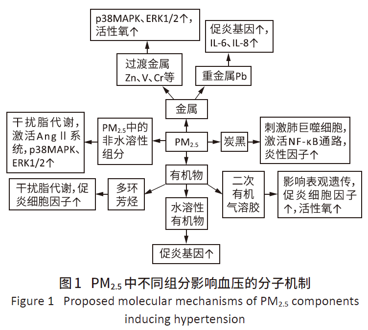 怎么使实验小鼠升血压北京大学贾光团队：大气细颗粒物诱发血压升高的分子机制研究进展丨荐文_https://www.jmylbn.com_新闻资讯_第9张