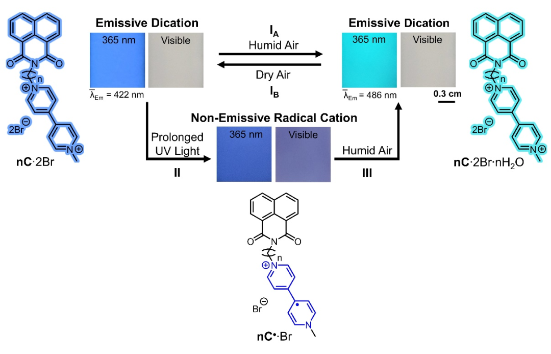 天津大学Mark Olson课题组：固态水致光致变色纤维素嵌合的荧光复合材料的图1