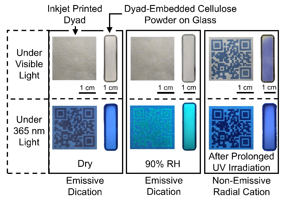天津大学Mark Olson课题组：固态水致光致变色纤维素嵌合的荧光复合材料的图2