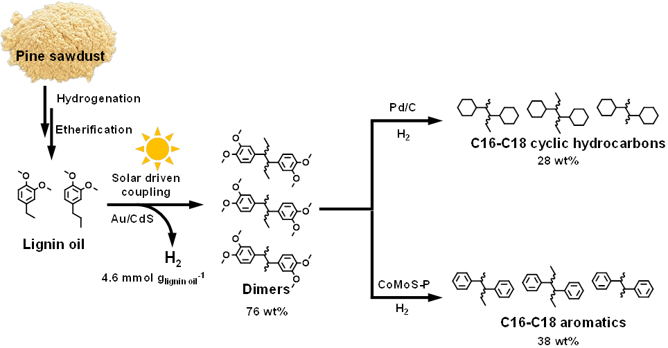 大连理工大学王敏团队Angew：木质素油偶联-加氢制备柴油的图3