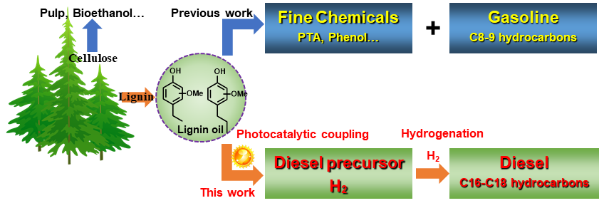大连理工大学王敏团队Angew：木质素油偶联-加氢制备柴油的图1