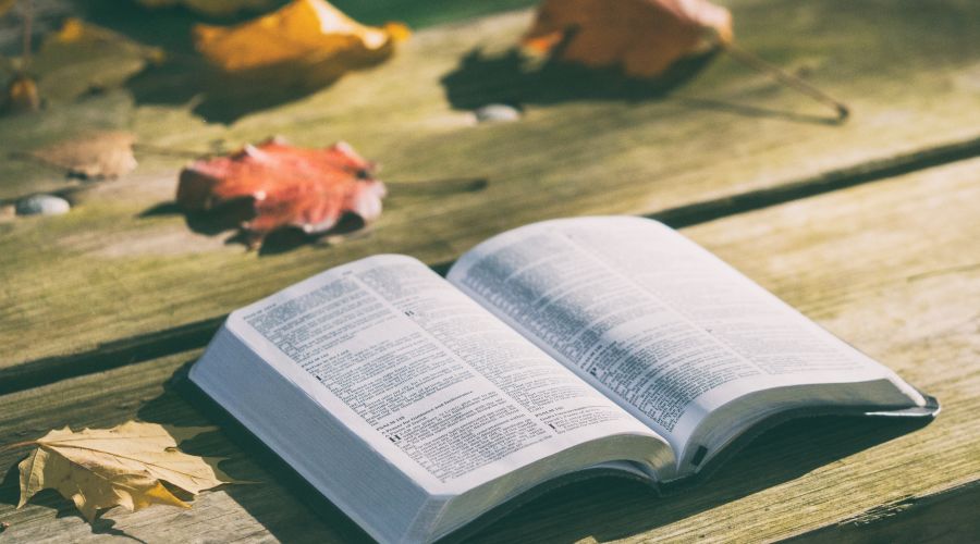 教招加分 40条教育名家名言 您喜欢哪一条呢 中子星教师教育 微信公众号文章阅读 Wemp