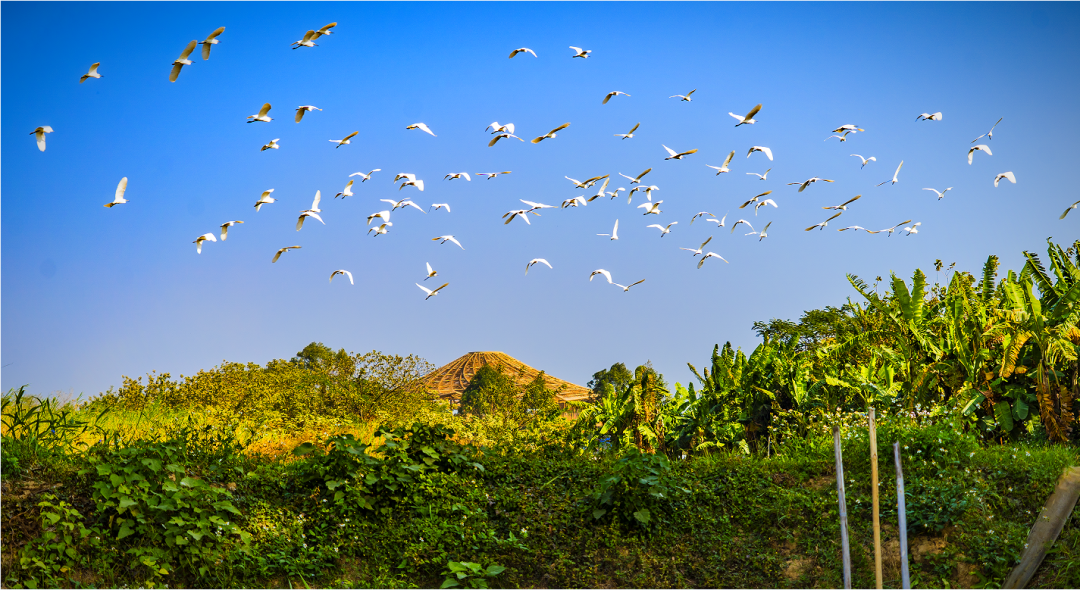 景区免票！半价！跑马拉松，游江门