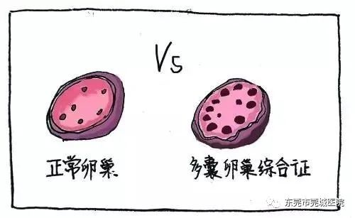 小晴|【警惕】女生一年多不来例假，原来是患上了这种病！女性高发！