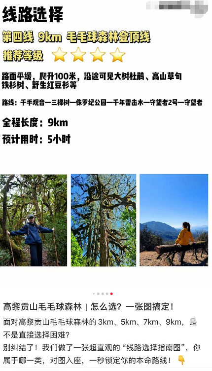 高黎贡山9km毛毛球森林徒步线路