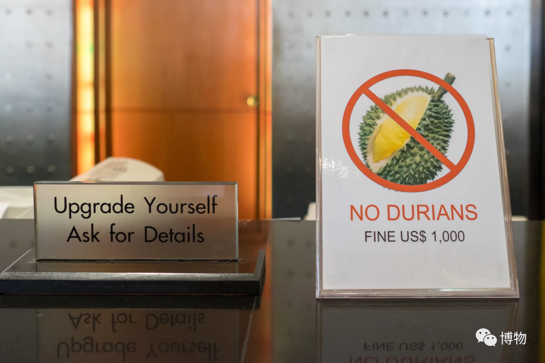 怎么买到好榴莲，怎么能精准挑到“报恩榴莲”？