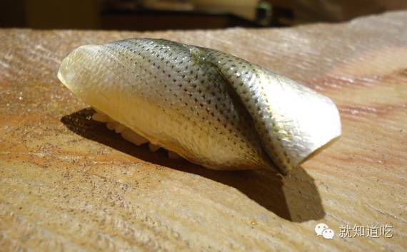 主要分佈:北海道南部-中國臺灣,菲律賓 鱚魚是古典江戶前壽司食材的一