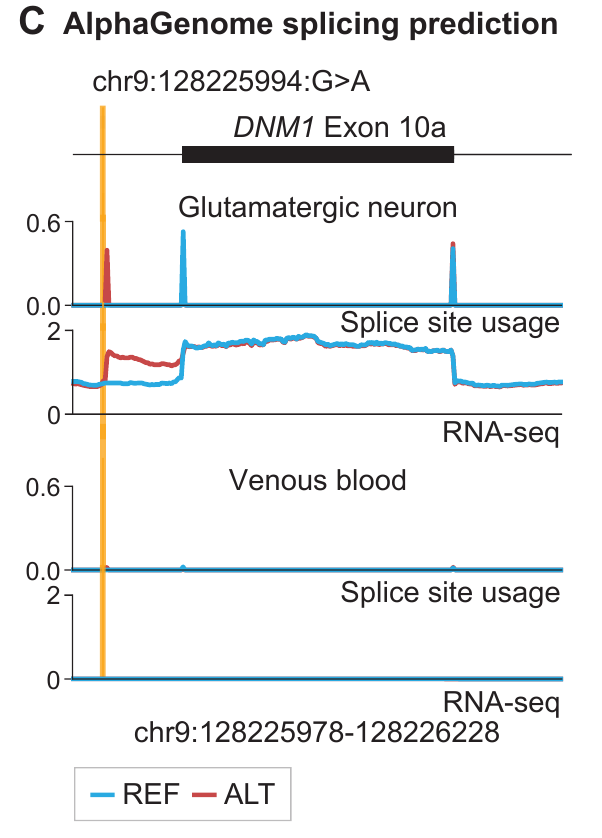 论文 Fig. 3C：脑相关细胞与静脉血中的预测差异。