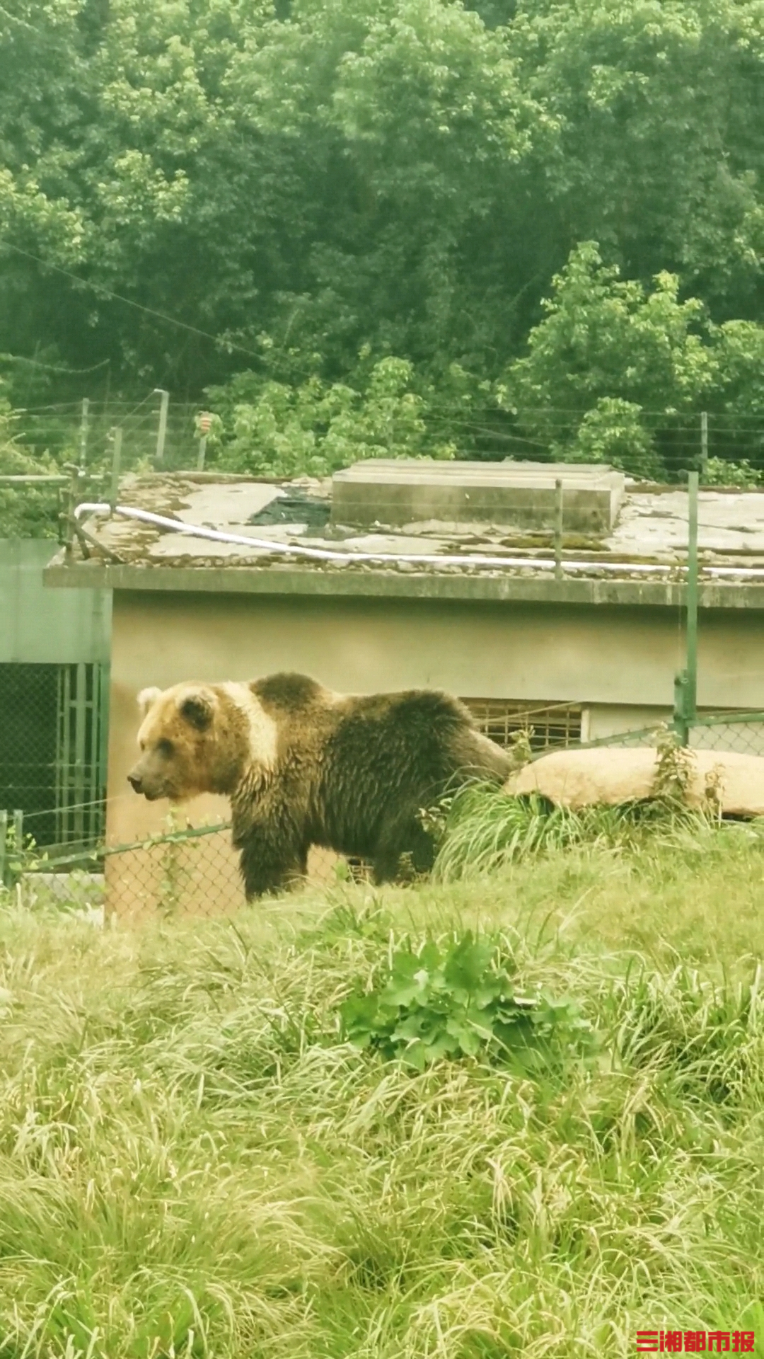 长沙生态动物园门票预订_长沙生态动物园_长沙生态动物园地铁路线