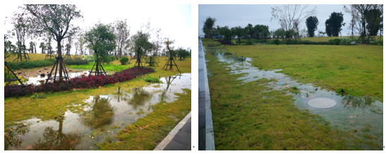 打造海绵城市,常用设施有哪些?