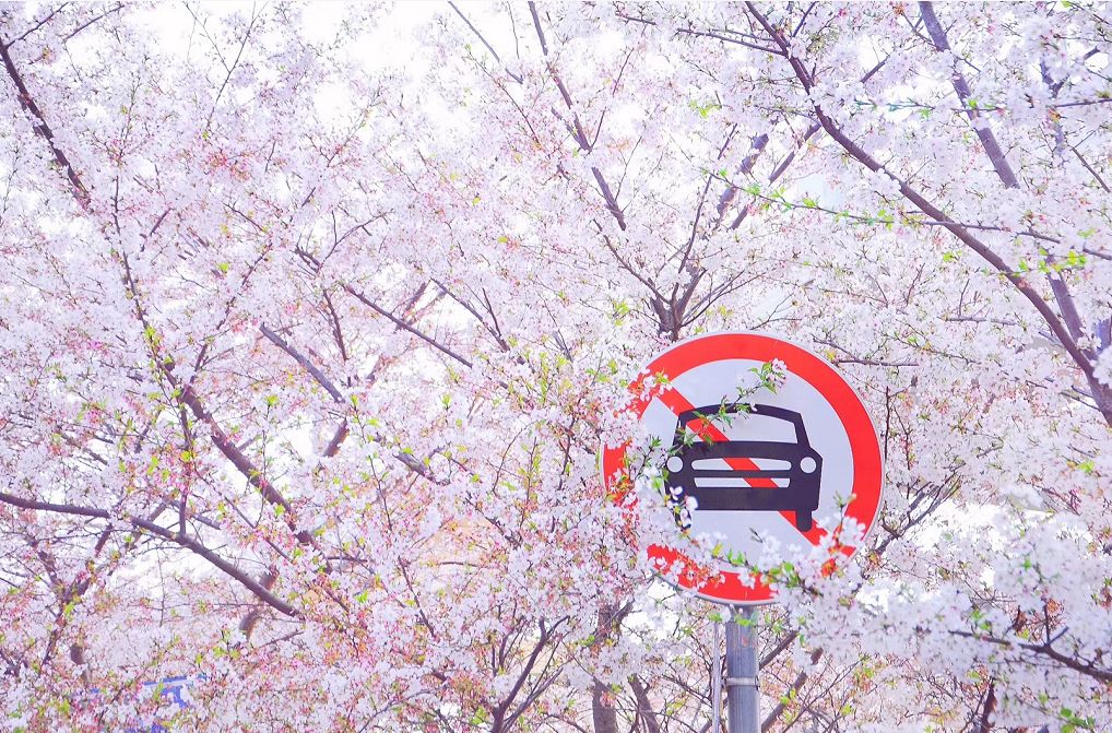 同济大学，为什么这么牛？！