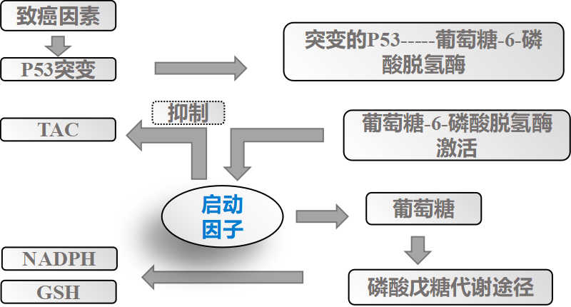 fh染色是什么意思建院70周年 ｜ 结直肠粘膜细胞稳定性FH检测技术_https://www.jmylbn.com_新闻资讯_第28张