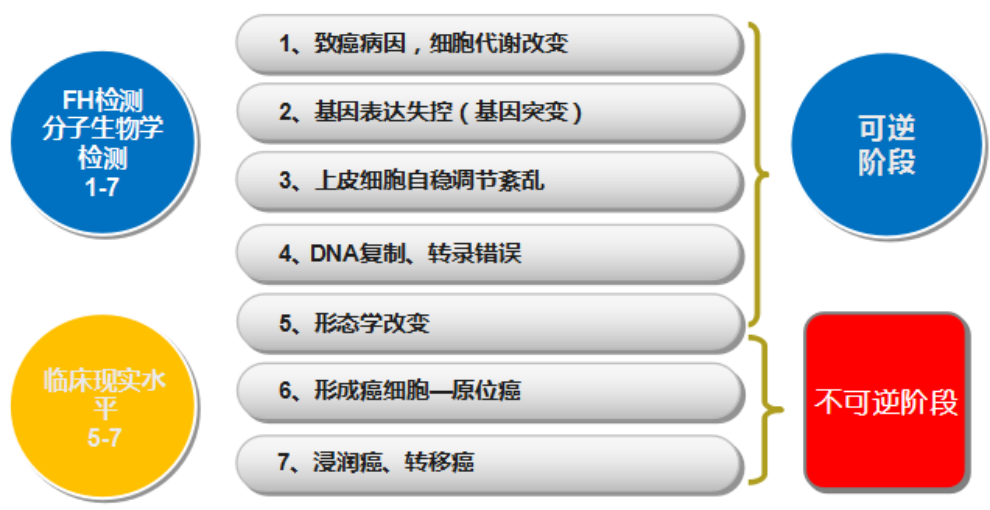 fh染色是什么意思建院70周年 ｜ 结直肠粘膜细胞稳定性FH检测技术_https://www.jmylbn.com_新闻资讯_第33张