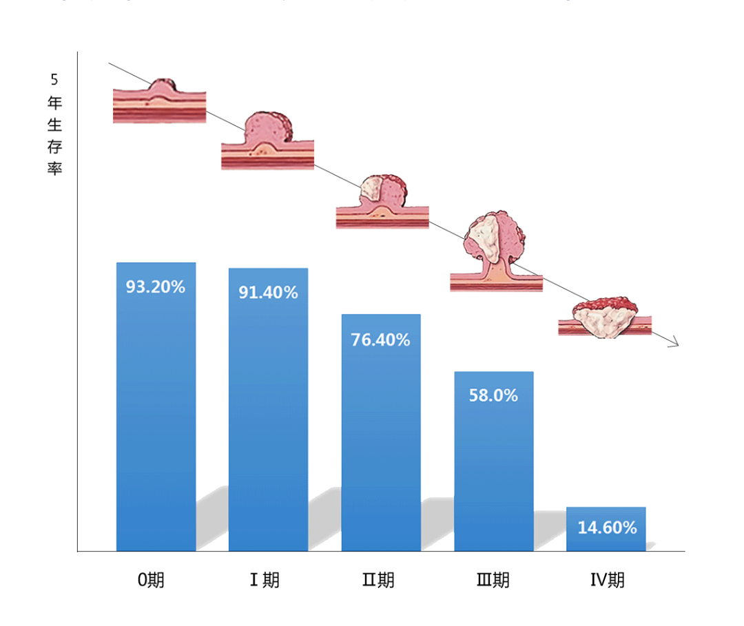 fh染色是什么意思建院70周年 ｜ 结直肠粘膜细胞稳定性FH检测技术_https://www.jmylbn.com_新闻资讯_第7张