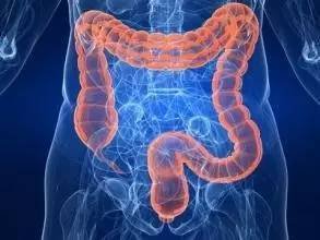 fh染色是什么意思建院70周年 ｜ 结直肠粘膜细胞稳定性FH检测技术_https://www.jmylbn.com_新闻资讯_第3张