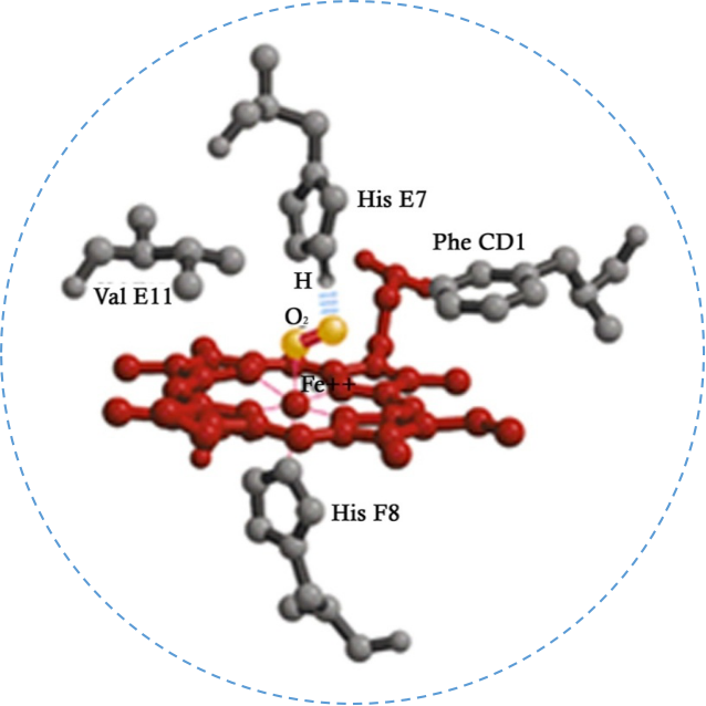 fh染色是什么意思建院70周年 ｜ 结直肠粘膜细胞稳定性FH检测技术_https://www.jmylbn.com_新闻资讯_第26张