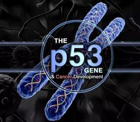 fh染色是什么意思建院70周年 ｜ 结直肠粘膜细胞稳定性FH检测技术_https://www.jmylbn.com_新闻资讯_第29张