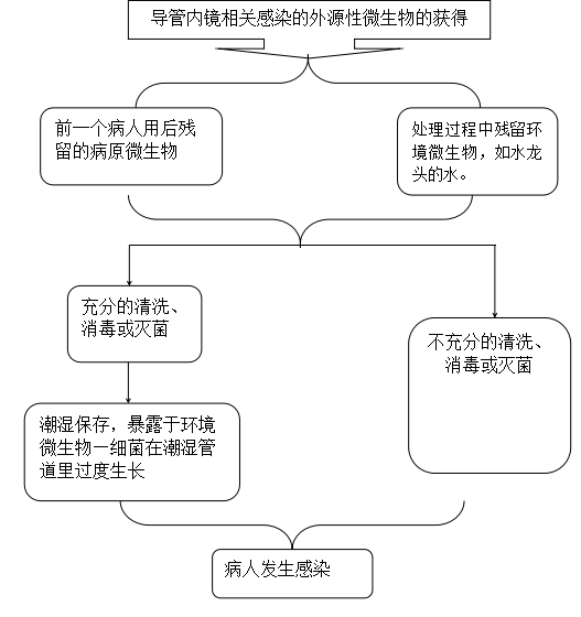 内窥镜用什么消毒软式内镜洗消分享丨刘运喜：软式内窥镜规范解读_https://www.jmylbn.com_新闻资讯_第2张