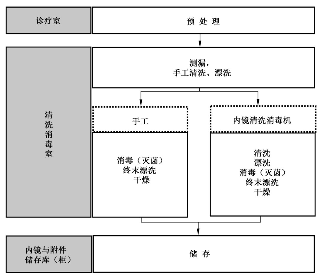 内窥镜用什么消毒软式内镜洗消分享丨刘运喜：软式内窥镜规范解读_https://www.jmylbn.com_新闻资讯_第3张