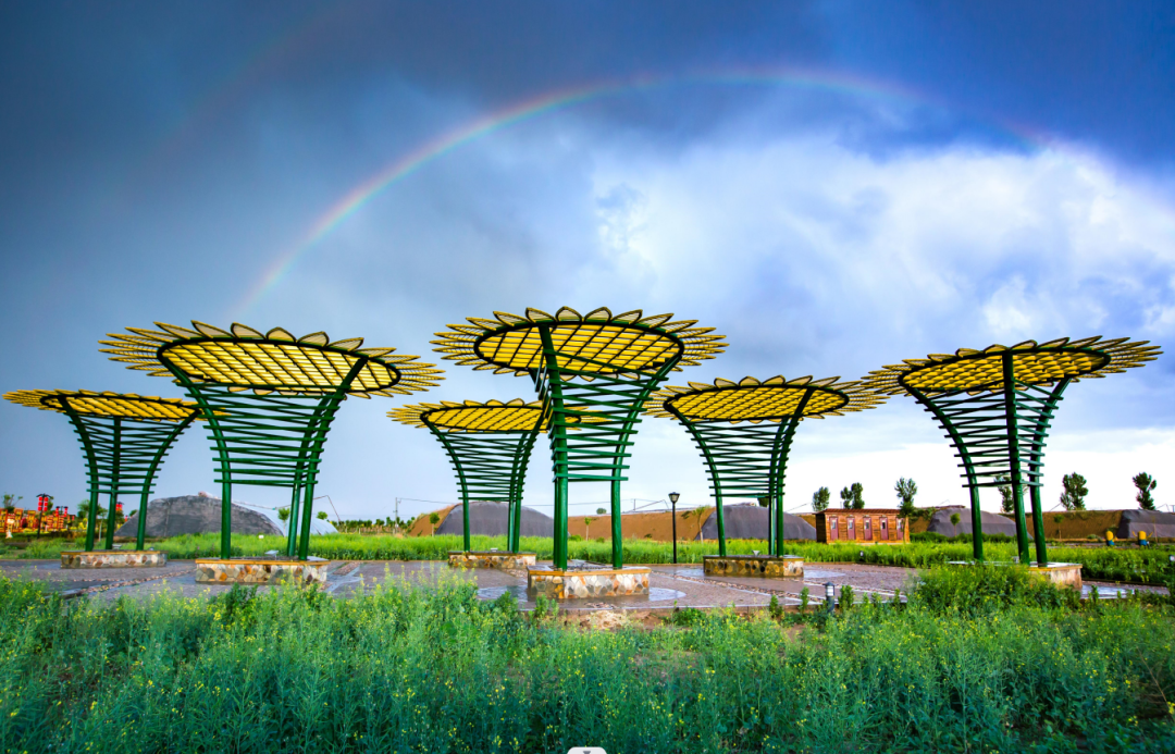 巴彦淖尔市不负春光不负青相约清明来踏青