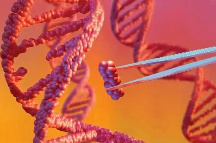 微信图片_2025-09-09_162750_408