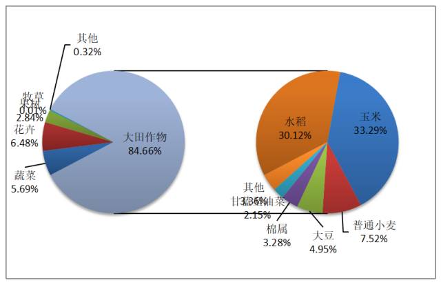 人口类型_什么是人口类别