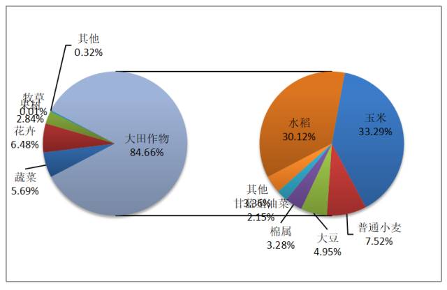 人口类别_什么是人口类别