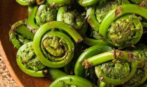 转告父母：这几种野菜是“天然的消炎药”，没事多吃一点，抗菌消炎，肺部干净一身轻