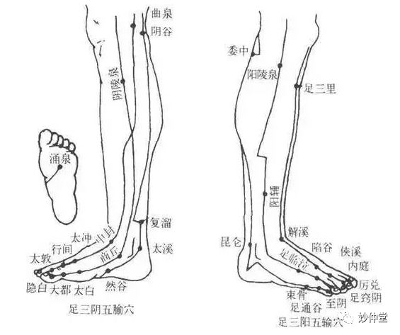 养腿＝养命！做腿的8大好处！！|养生知识-南阳宛艾产业协会