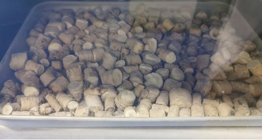 真空冷凍干燥技術在黨參凍干中的應用