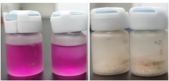 真空冷凍干燥技術(shù)在培養(yǎng)基凍干中的應(yīng)用