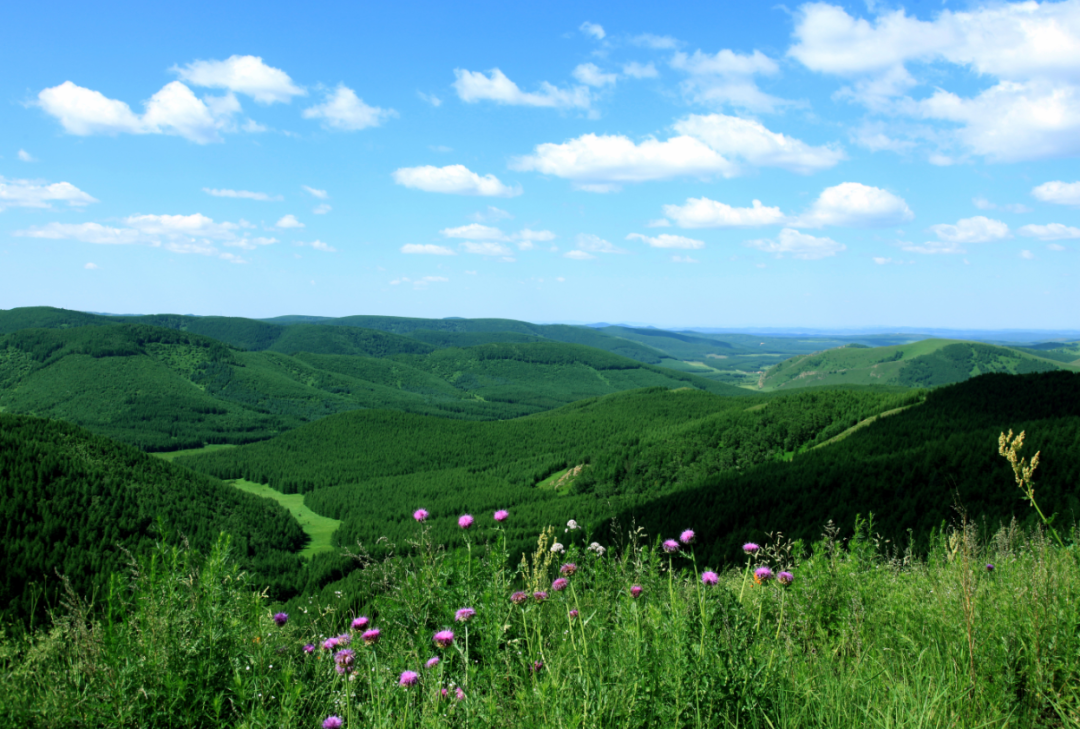 弘扬塞罕坝精神推进生态文明建设