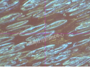 改性PC注塑出现“料花”的怎么办？原因探究要从这几方面入手！的图3