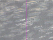 改性PC注塑出现“料花”的怎么办？原因探究要从这几方面入手！的图4