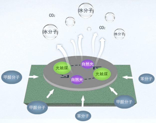 火遍設計圈的矽藻泥，到底是什麼？ 家居 第26張