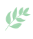 Win10/11免费升级，教你这样搞