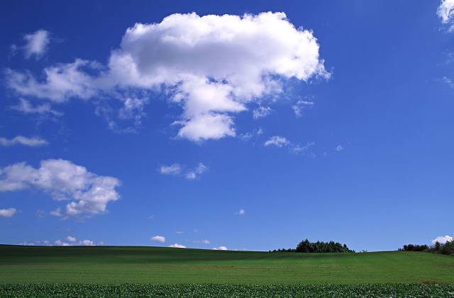 早听：越抱怨，越不幸；越努力，越幸运。优秀的华莱人，从不抱怨