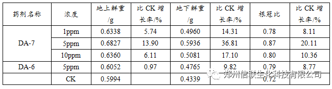 DA-7对玉米幼苗生长的影响