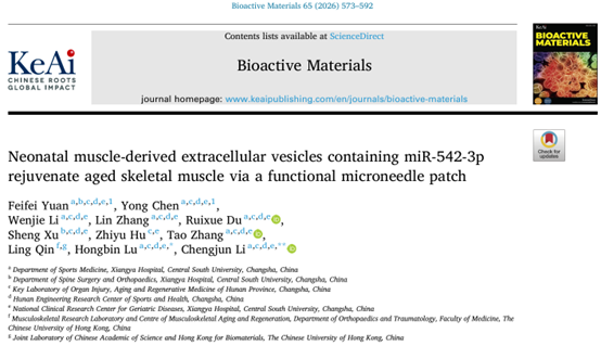 Bioactive Materials |中南大学湘雅医院吕红斌/李成军团队：新生肌肉来源细胞外囊泡通过递送miR-542-3p逆转骨骼肌衰老