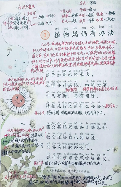 长大才懂课文意