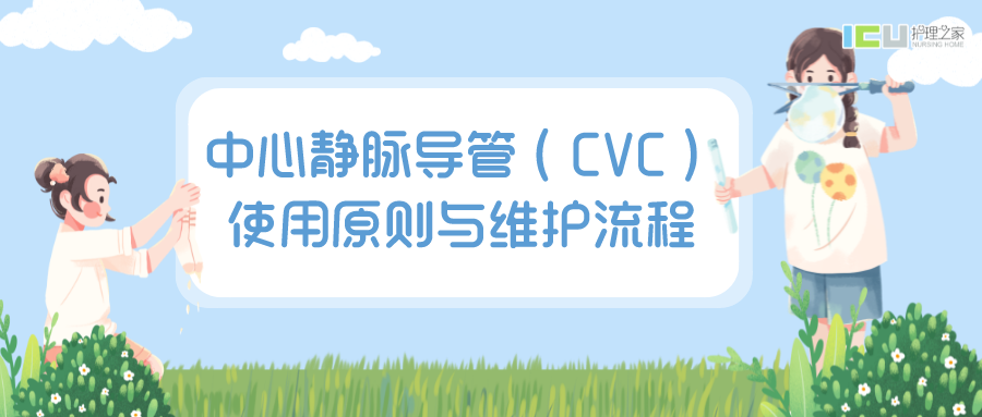 中心导管怎么使用中心静脉导管（CVC）使用原则与维护流程_https://www.jmylbn.com_新闻资讯_第2张