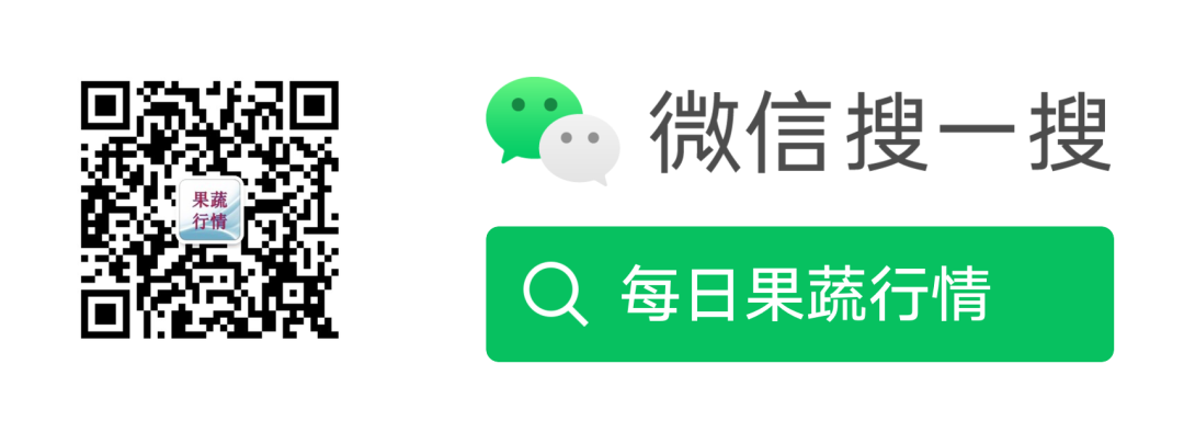 邯郸南大堡批发市场2024年1月1日蔬菜价格行情
