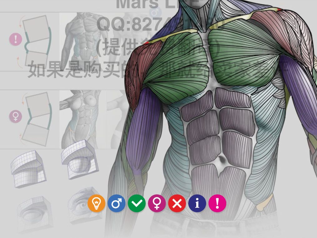 学模型雕刻造型必备书籍 雕塑家解剖学中文版 Maya设计学习 微信公众号文章阅读 Wemp