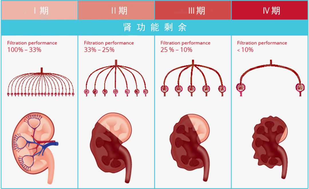      CKD 2.1         -     -         
