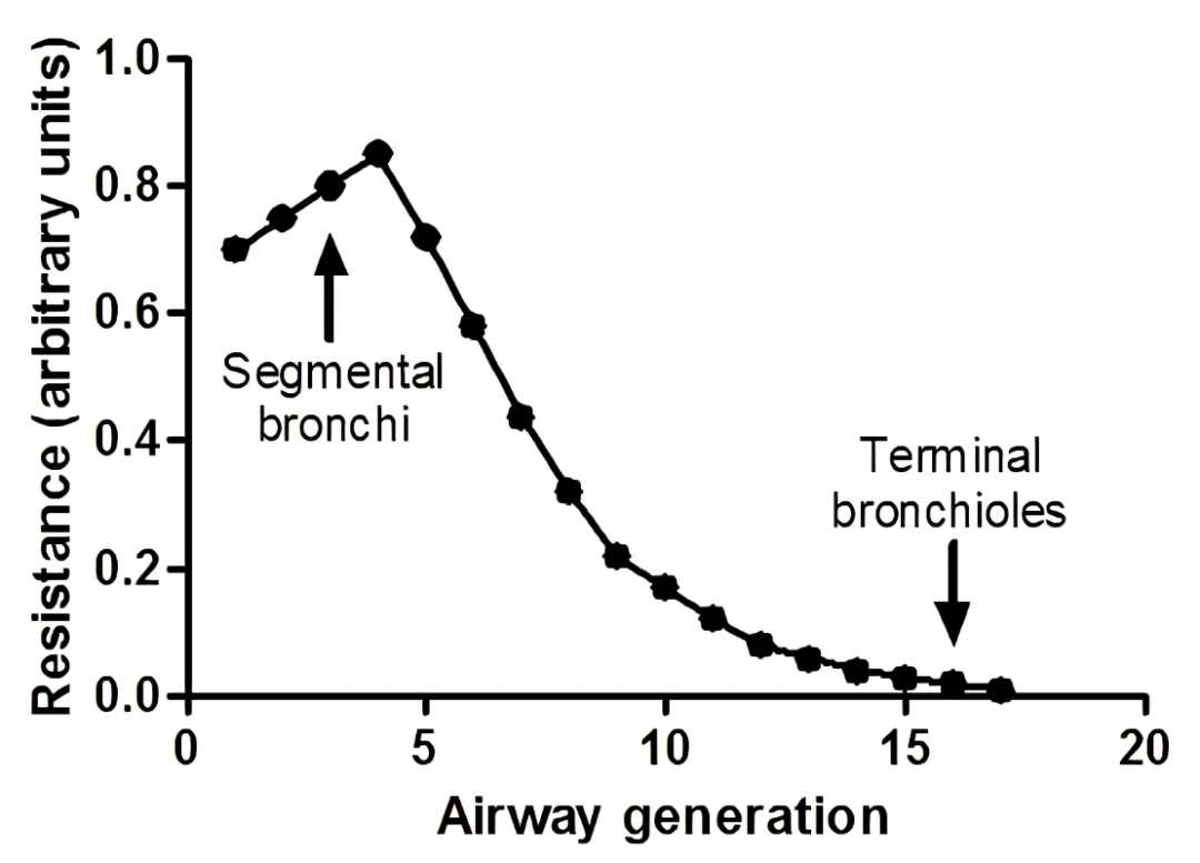 什么是气体陷闭难！温故未必能知新——肺通气_https://www.jmylbn.com_新闻资讯_第13张