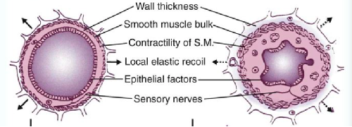 什么是气体陷闭难！温故未必能知新——肺通气_https://www.jmylbn.com_新闻资讯_第29张