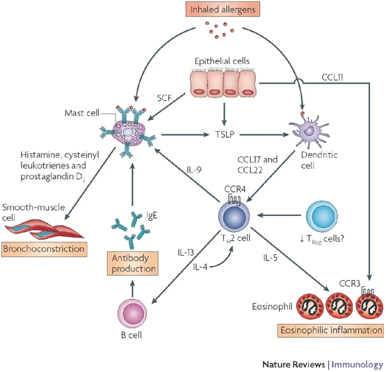什么是气体陷闭难！温故未必能知新——肺通气_https://www.jmylbn.com_新闻资讯_第26张