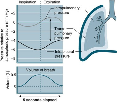 什么是气体陷闭难！温故未必能知新——肺通气_https://www.jmylbn.com_新闻资讯_第8张