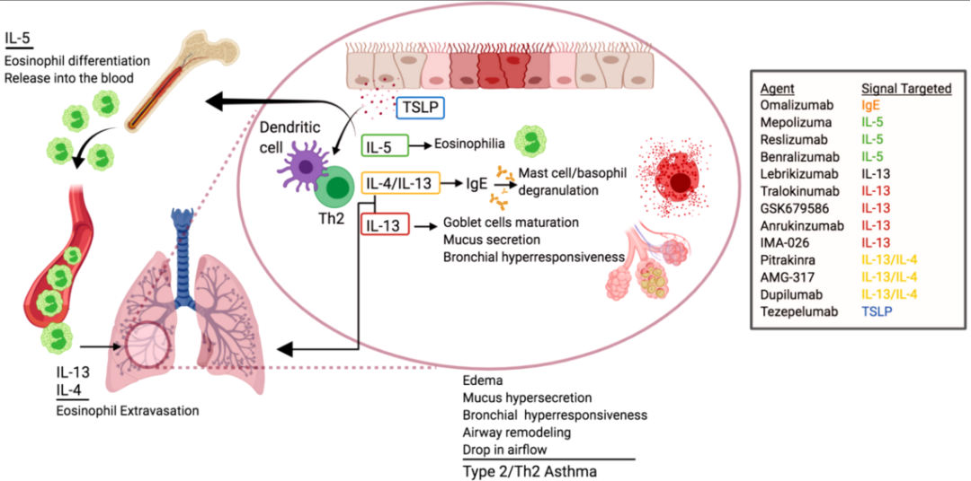 什么是气体陷闭难！温故未必能知新——肺通气_https://www.jmylbn.com_新闻资讯_第27张